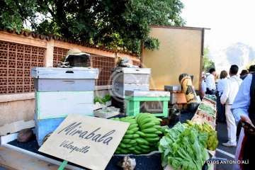  La romería de San Miguel Arcángel seduce a Telde (Foto Antonio Alí)